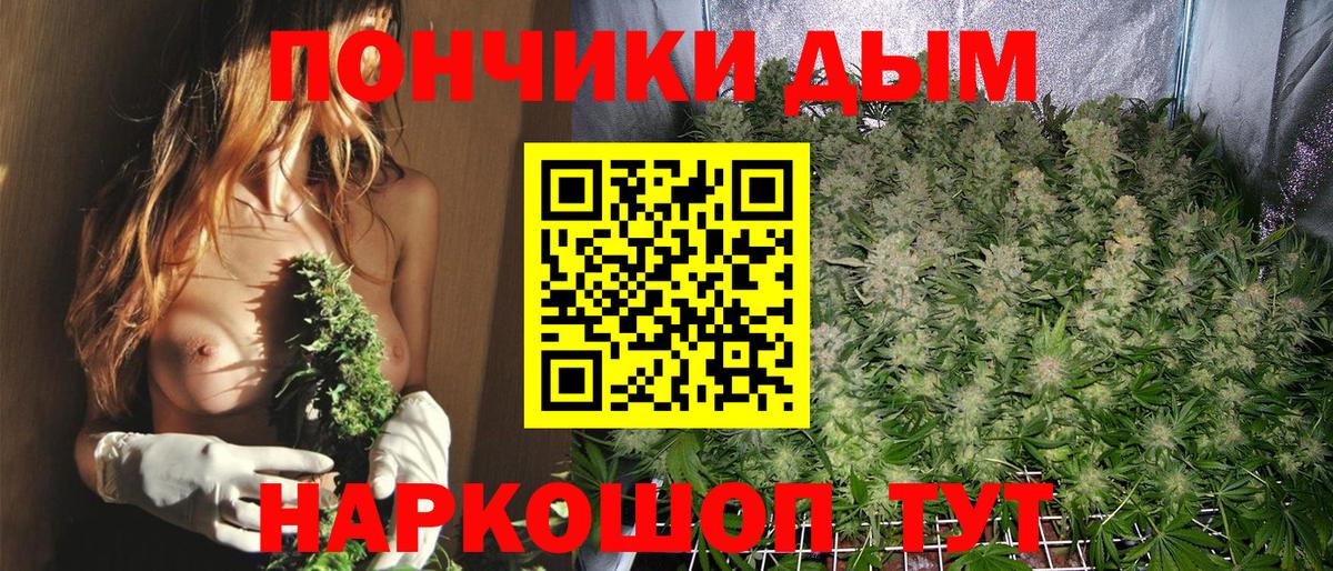 Бошки Шишки THC 21% Ялуторовск